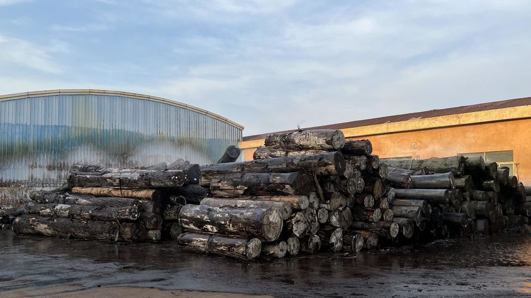 Dongguan Lingfeng Wood Industry Co., Ltd. خط تولید تولید کننده