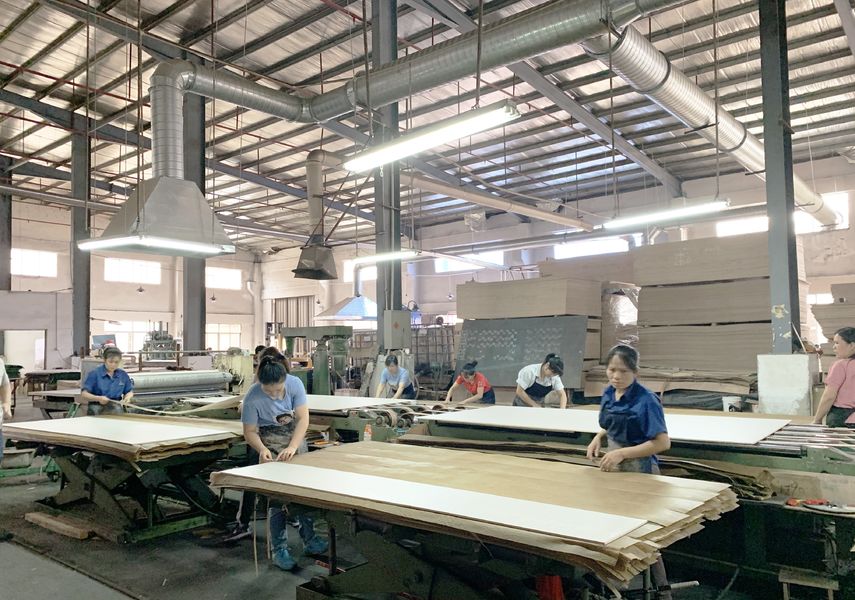 Dongguan Lingfeng Wood Industry Co., Ltd. خط تولید تولید کننده