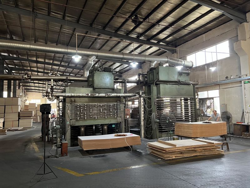 Dongguan Lingfeng Wood Industry Co., Ltd. خط تولید تولید کننده