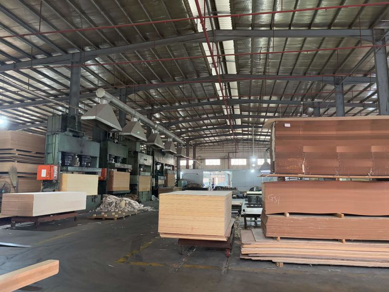 Dongguan Lingfeng Wood Industry Co., Ltd. خط تولید تولید کننده