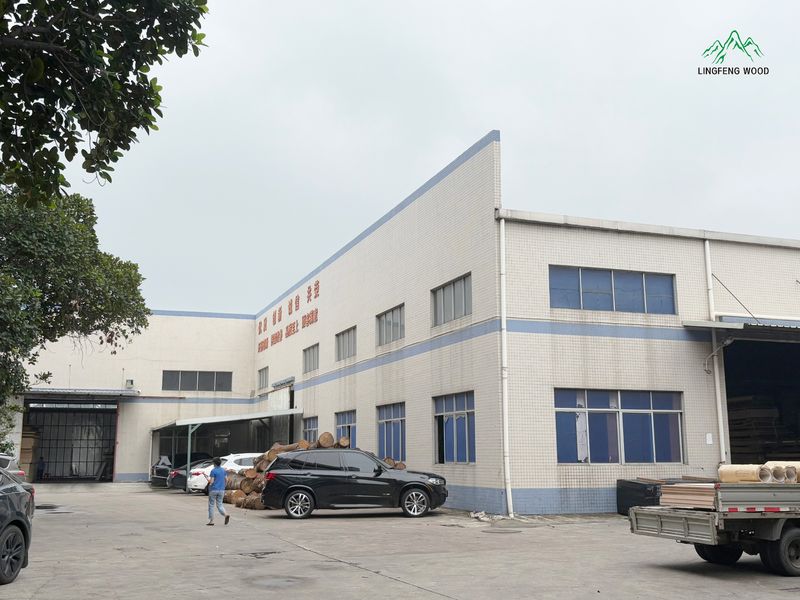 Dongguan Lingfeng Wood Industry Co., Ltd. خط تولید تولید کننده