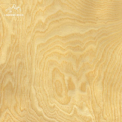 Ash Swirl Veneer 0.45mm | LINGFENG
