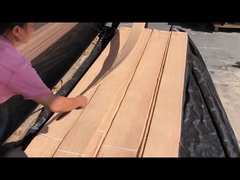 فنیر بلوط سفید آمریکایی